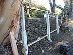 IMG_1826.JPG
