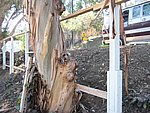 IMG_1827.JPG
