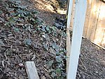 IMG_1831.JPG