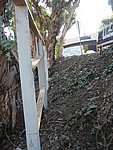 IMG_1832.JPG