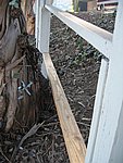 IMG_1833.JPG