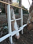 IMG_1835.JPG