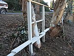 IMG_1836.JPG
