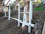IMG_1837.JPG