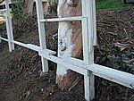 IMG_1840.JPG