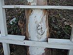 IMG_1841.JPG