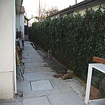 IMG_1974.JPG