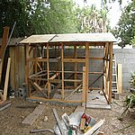 P7190524.JPG
