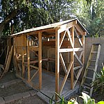 P7190539.JPG