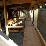 P7190546.JPG