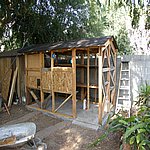 P7270555.JPG