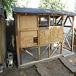 P7270556.JPG