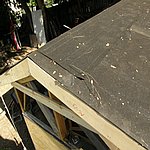 P8010560.JPG