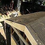 P8010563.JPG