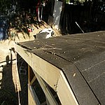 P8010564.JPG