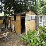 P8030565.JPG