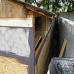 P8030568.JPG