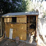 P8100590.JPG