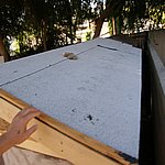 P8100591.JPG