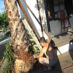 IMG_4433.JPG
