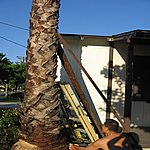 IMG_4434.JPG