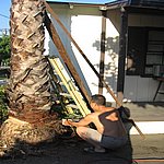IMG_4435.JPG