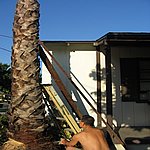 IMG_4436.JPG