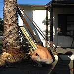 IMG_4437.JPG