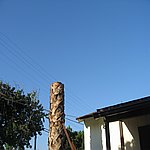 IMG_4441.JPG