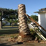 P7020321.JPG