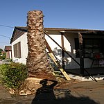 P7020322.JPG