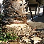 P7020323.JPG