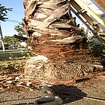 P7020324.JPG