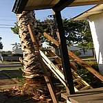 P7020334.JPG