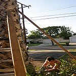 P7020336.JPG
