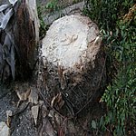 P7020340.JPG