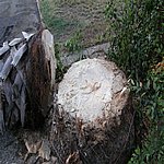 P7020341.JPG