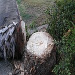 P7020342.JPG