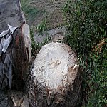 P7020343.JPG