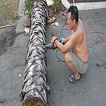 P7020344.JPG
