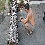 P7020345.JPG