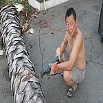 P7020346.JPG