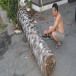 P7020349.JPG