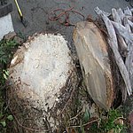 P7020350.JPG