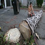 P7020351.JPG