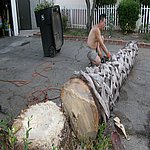 P7020352.JPG