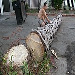 P7020353.JPG