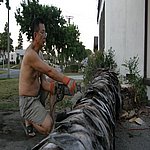 P7020359.JPG