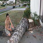 P7020360.JPG