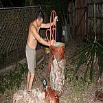P7020364.JPG